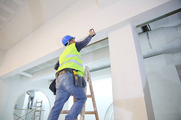 Best Forensic Mold Investigation  in Dix Hills, NY